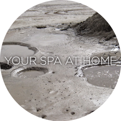 mudsea copy mudsea copy